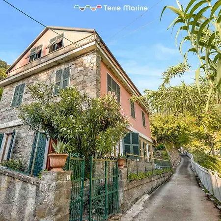 La Pantaia, Terre Marine *